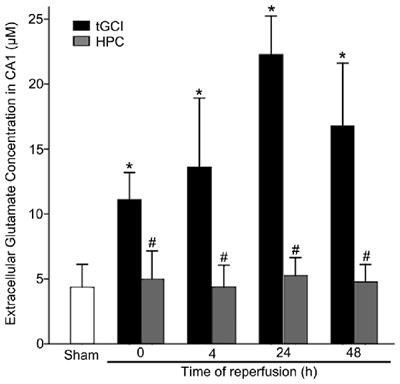 Hypoxic Preconditioning Maintains GLT-1 Against Transient Global Cerebral Ischemia Through Upregulating Cx43 and Inhibiting c-Src